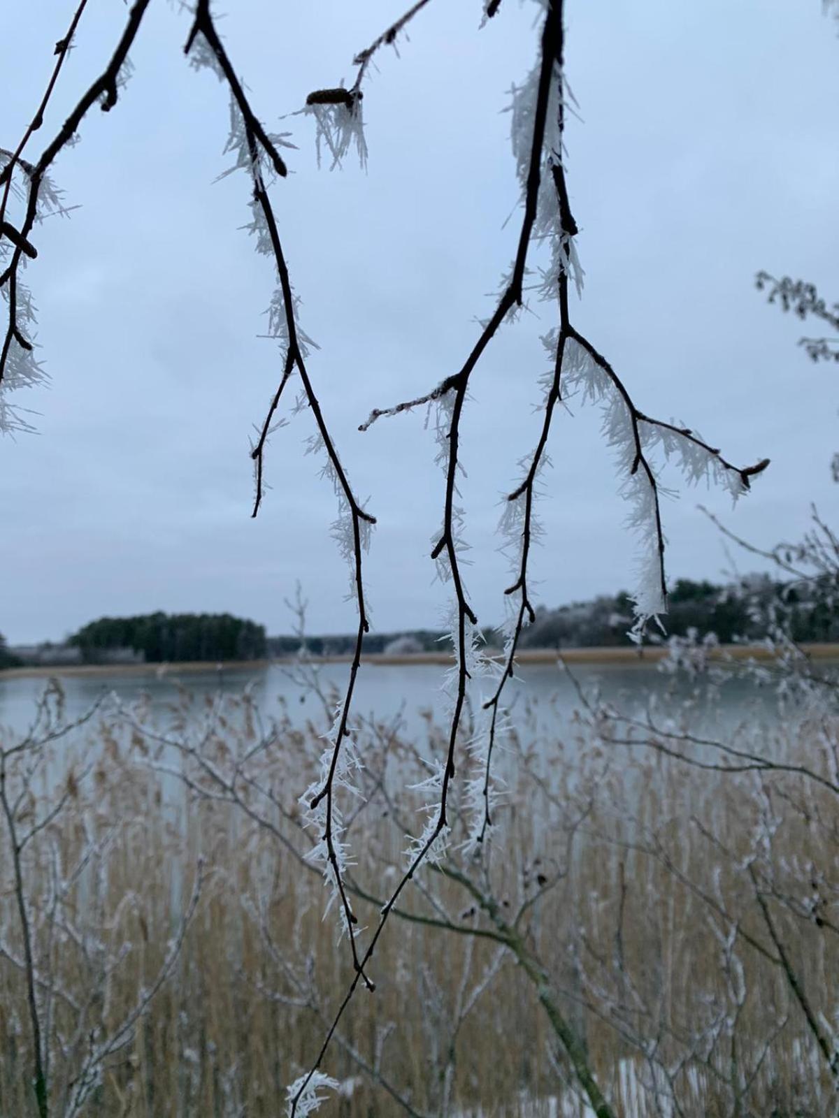 Tamminiemen Lomamoekit Villa Kustavi Eksteriør billede